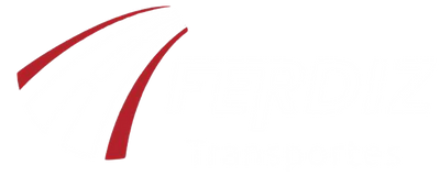 transportesferdiz.com